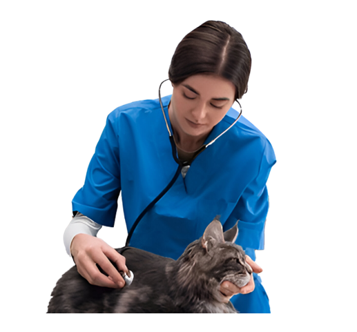 Nova for Animal Health - AI Veterinary Companion